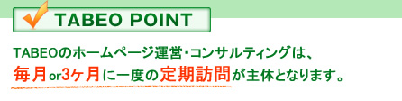 TABEOのホームページ運営・コンサルティングは、毎月or3ヶ月に一度の定期訪問が主体となります。