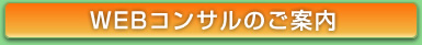 Webコンサルのご案内